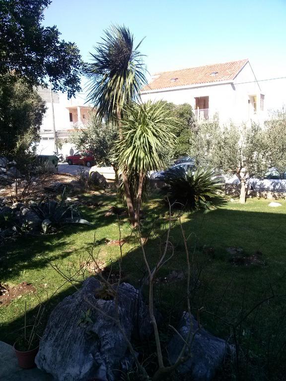 Private Accommodation Carevic دوبروفينك المظهر الخارجي الصورة