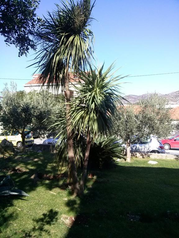 Private Accommodation Carevic دوبروفينك المظهر الخارجي الصورة